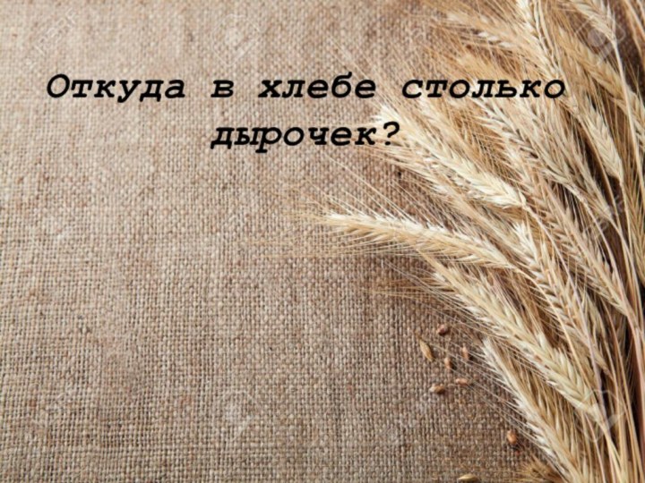 Откуда в хлебе столько дырочек?