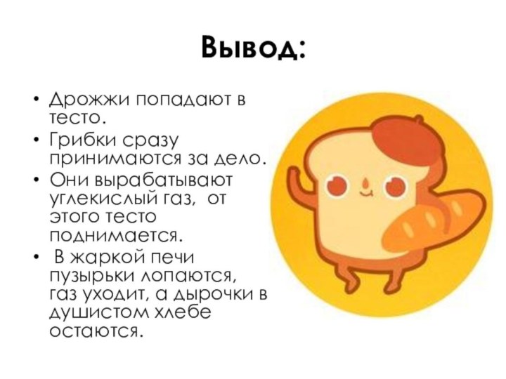 Вывод: Дрожжи попадают в тесто.Грибки сразу принимаются за дело.Они вырабатывают углекислый газ,