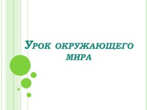 Презентация Млекопитающие презентация к уроку по окружающему миру (1 класс) по теме