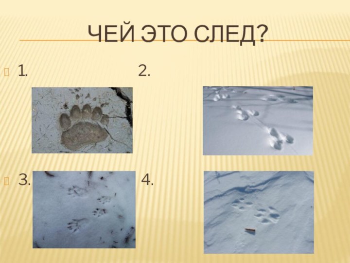 Чей это след?1.