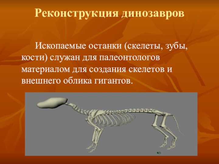 Реконструкция динозавров 		Ископаемые останки (скелеты, зубы, кости) служан для палеонтологов материалом для