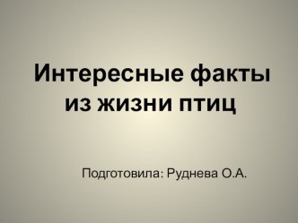 Интересные факты из жизни птиц презентация к уроку по окружающему миру (подготовительная группа)