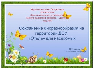 Сохранение биоразнообразия на территории ДОУ. Отель для насекомых. презентация
