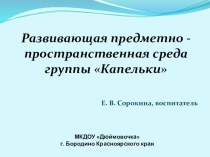 Развивающая предметно - пространственная среда презентация к уроку (младшая группа)