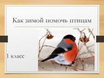 Как помочь птицам презентация к уроку по окружающему миру (1 класс)