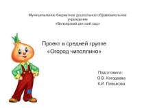 Проект в средней группе Огород Чиполлино. проект по окружающему миру (средняя группа)