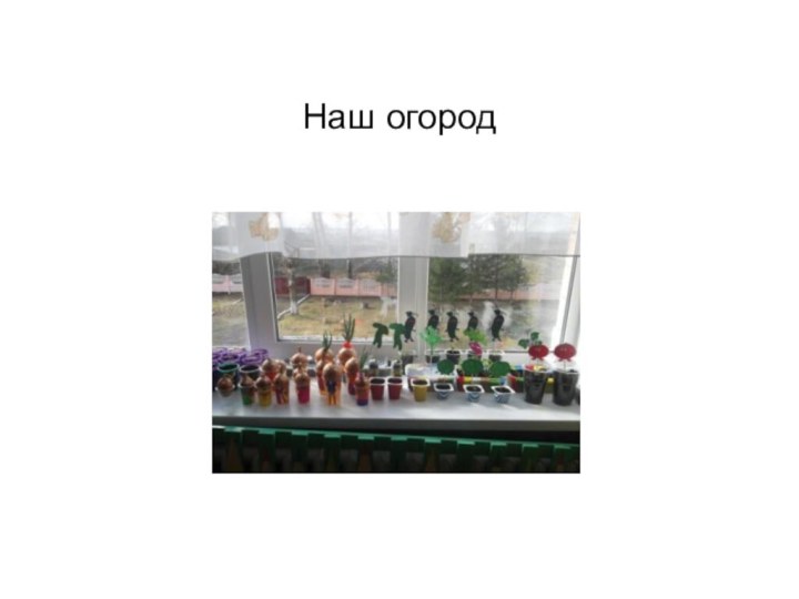 Наш огород