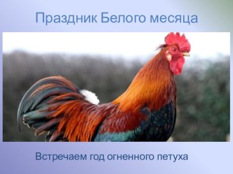 презентация Праздник Белого месяца- Сагаалган презентация