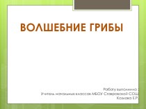 Грибы из гипса. творческая работа учащихся (2 класс)