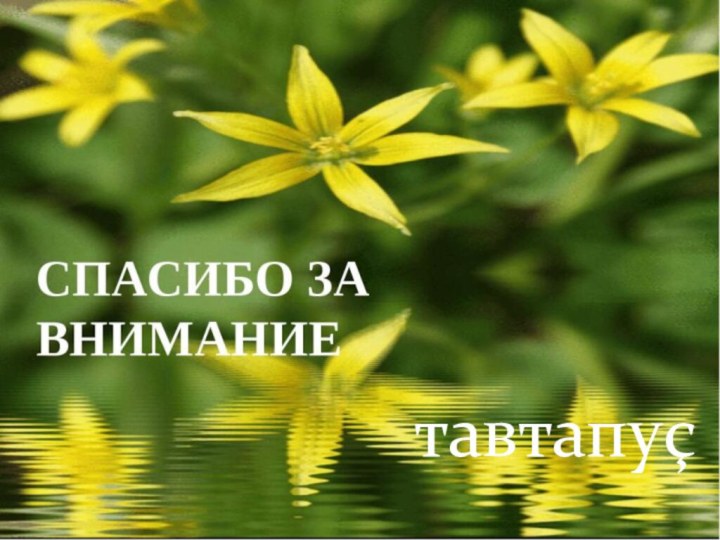 тавтапуç