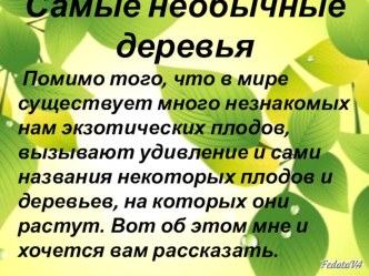 Презентация: Самые необычные деревья. презентация к уроку по окружающему миру (3 класс) по теме