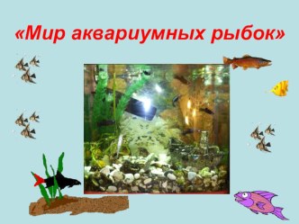 Аквариумные рыбки презентация к уроку по окружающему миру (2 класс) по теме
