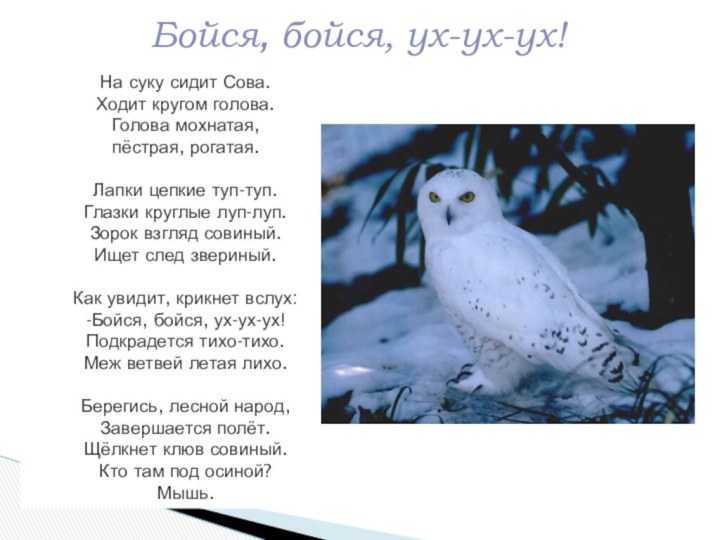 Бойся, бойся, ух-ух-ух! На суку сидит Сова. Ходит кругом голова. Голова мохнатая,