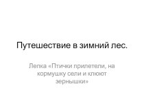 Птички прилетели на кормушку сели план-конспект занятия по аппликации, лепке (средняя группа) по теме