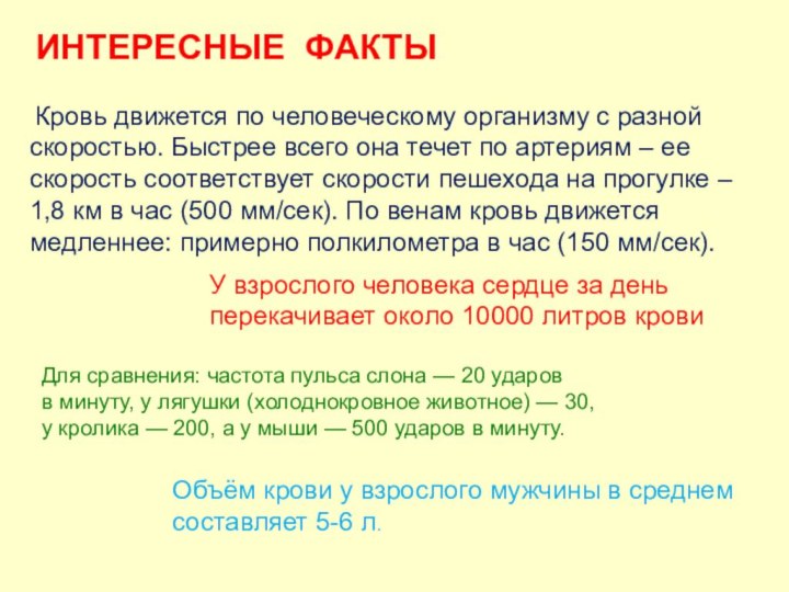 Кровь движется по человеческому организму с разной скоростью. Быстрее всего