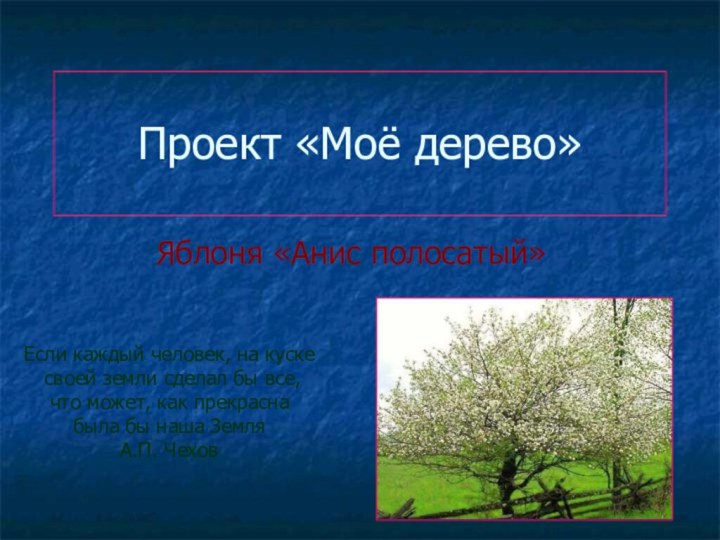 Проект «Моё дерево»Яблоня «Анис полосатый»Если каждый человек, на куске своей земли сделал