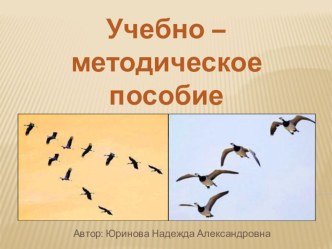 Учебно - методическое пособие ПЕРЕЛЕТНЫЕ ПТИЦЫ учебно-методическое пособие по окружающему миру (средняя группа)