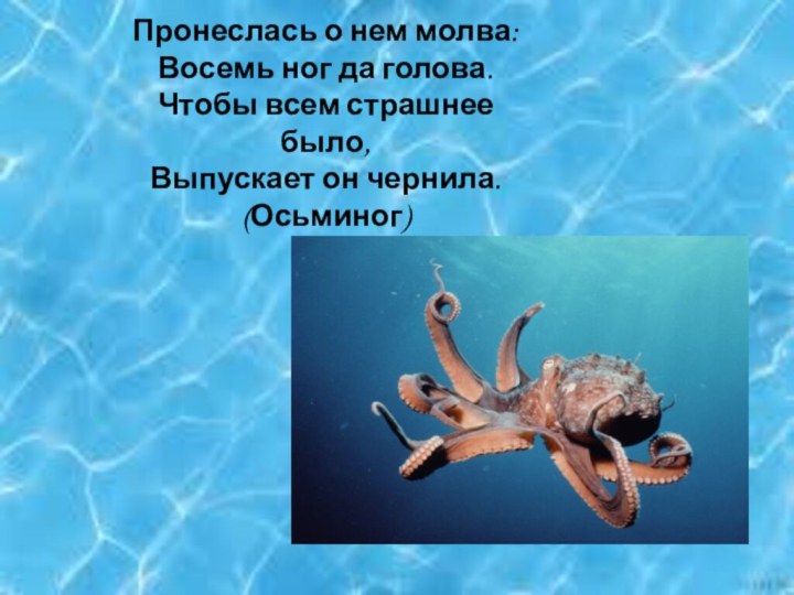 Пронеслась о нем молва:Восемь ног да голова.Чтобы всем страшнее было,Выпускает он чернила. (Осьминог)