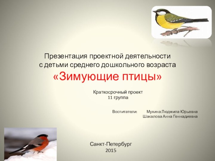 Презентация проектной деятельности  с детьми среднего дошкольного возраста «Зимующие птицы»Краткосрочный проект11