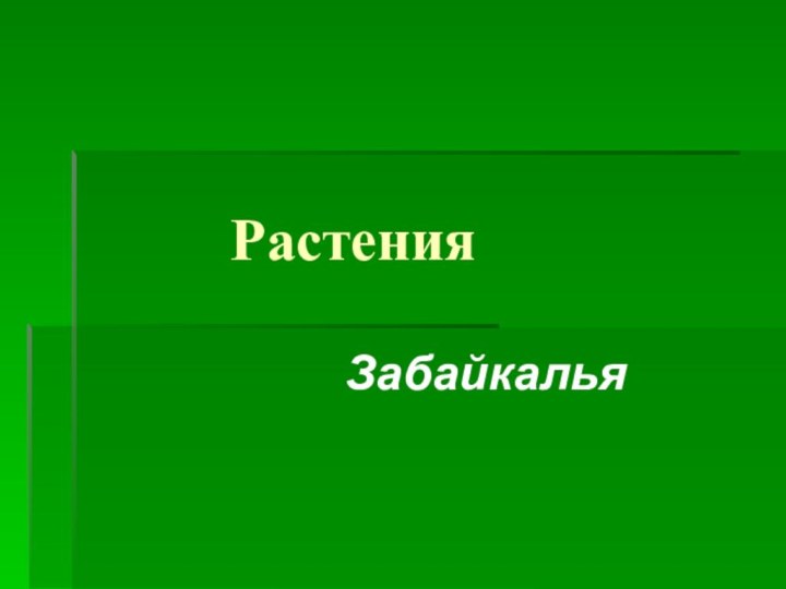 Растения