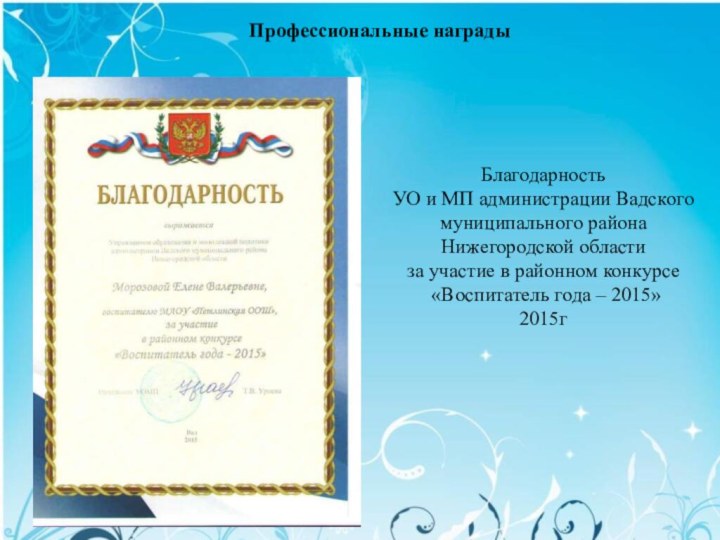 Профессиональные награды Благодарность УО и МП администрации Вадского муниципального района Нижегородской области