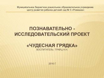 Познавательно - исследовательский проект Чудесная грядка средняя группа проект по окружающему миру (средняя группа)