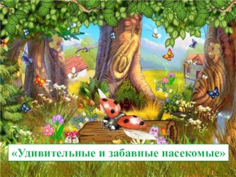 Проект: Удивительные и забавные насекомые презентация