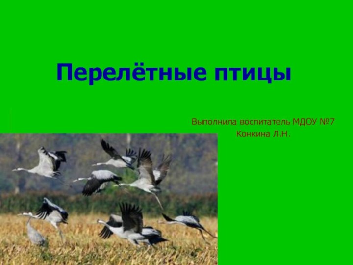 Перелётные птицыВыполнила воспитатель МДОУ №7 Конкина Л.Н.