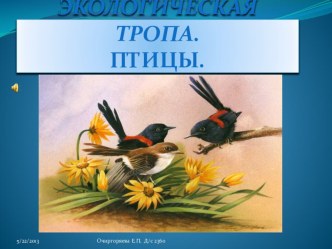 Перелетные и зимующие птицы презентация к занятию по окружающему миру (младшая группа) по теме