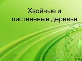 Хвойные и лиственные деревья материал по окружающему миру (подготовительная группа)