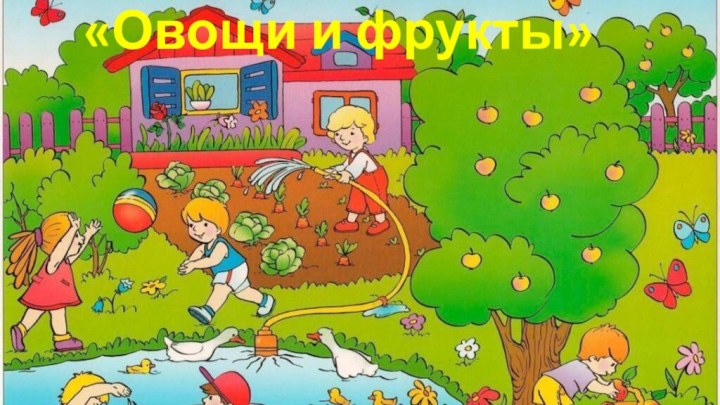 «Овощи и фрукты»