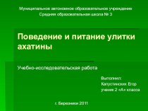 ПОВЕДЕНИЕ И ПИТАНИЕ УЛИТКИ АХАТИНЫ творческая работа учащихся по окружающему миру (3 класс) по теме