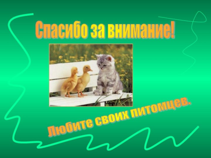 Спасибо за внимание! Любите своих питомцев.