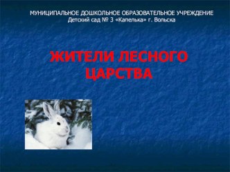 презентация жители лесного царства презентация к занятию по окружающему миру (средняя группа) по теме