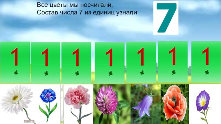 Все цветы мы посчитали,Состав числа 7 из единиц узнали