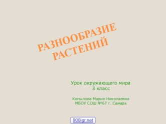 Группы растений.Презентация к уроку окружающего мира. 3 класс. презентация урока для интерактивной доски по окружающему миру (3 класс) по теме