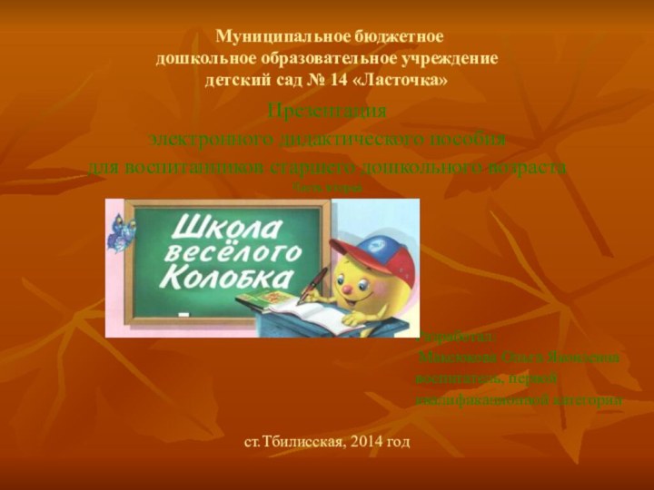 Муниципальное бюджетное  дошкольное образовательное учреждение детский сад № 14 «Ласточка»Презентацияэлектронного