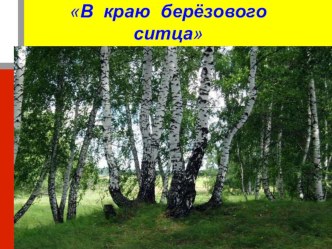 социальный проект 3 класс творческая работа учащихся (3 класс) по теме