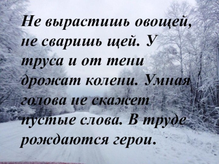 Не вырастишь овощей, не сваришь щей. У труса и от тени дрожат