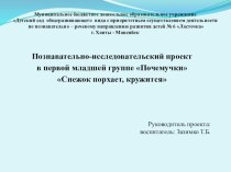 Проект Снежок порхает, кружится проект по окружающему миру (младшая группа)