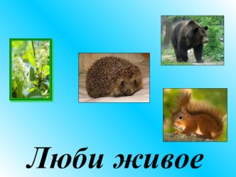 Открытый урок по литературному чтению в 3 классе. ТЕМА: М.М. Пришвин Моя Родина (из воспоминаний) план-конспект урока по чтению (3 класс)