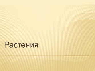 Растения презентация к уроку по окружающему миру (средняя группа)