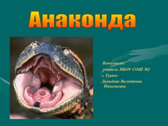 Анаконда (окружающий мир)