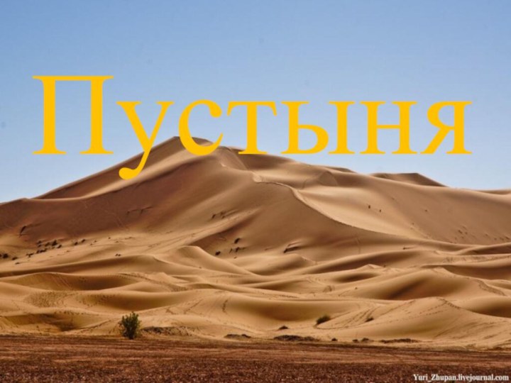 Пустыня