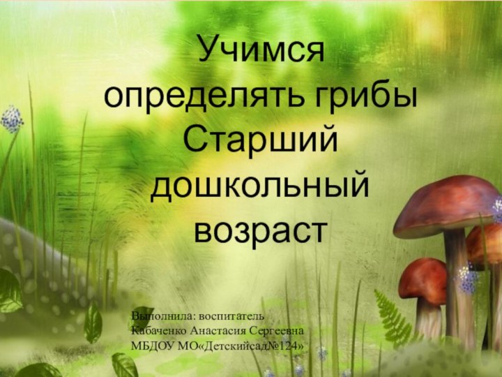 Учимся определять грибы Старший дошкольный возраст Выполнила: воспитательКабаченко Анастасия СергеевнаМБДОУ МО«Детскийсад№124»