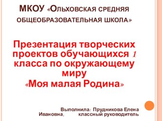 Презентация проектов обучающихся презентация к уроку (окружающий мир, 1 класс)