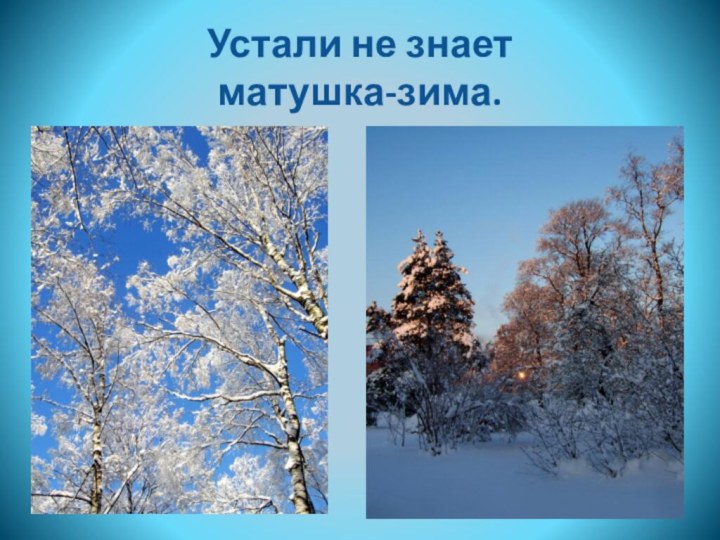 Устали не знает  матушка-зима.