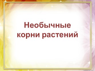 Корни растений занимательные факты по окружающему миру