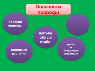 Экологическая безопасность презентация к уроку по окружающему миру (4 класс)