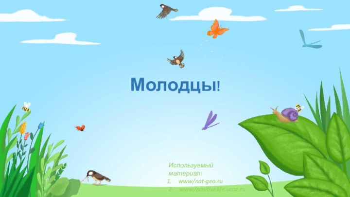 Молодцы!Используемый материал:www/nat-geo.ru2.  www/positivelife.ucoz.ru